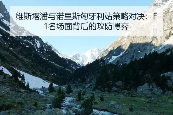 wei-si-ta-pan-yu-nuo-li-si-xiong-ya-li-zhan-ce-lve-dui-jue-ming-chang-mian-bei-hou-de-gong-fang-bo-yi-3-903.jpg