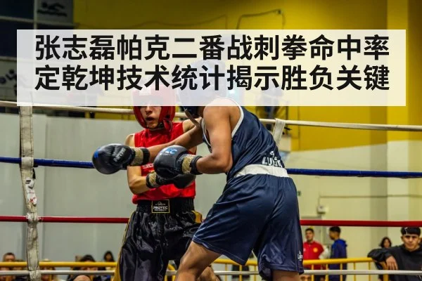 张志磊帕克二番战刺拳命中率定乾坤技术统计揭示胜负关键